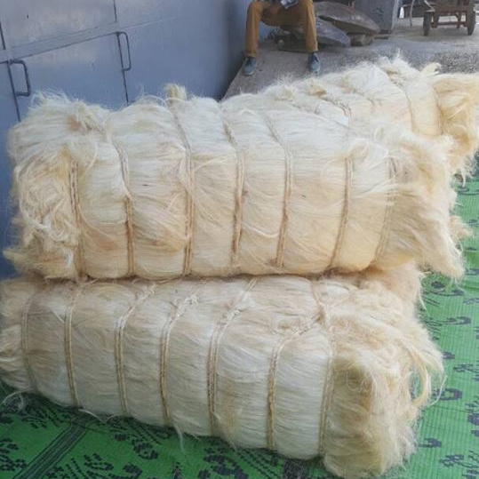 UG Grade A Sisal Fibre - Image 4