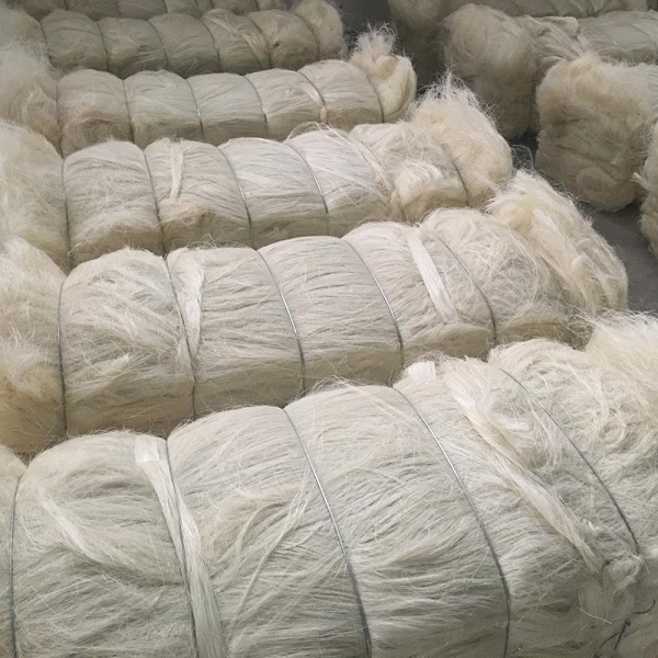 SSUG Grade Sisal Fibre - Image 4